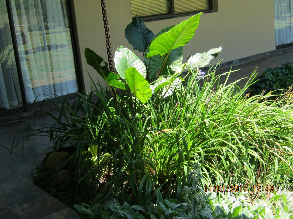 Hotel Grace Country Retreat Memel Esterno foto